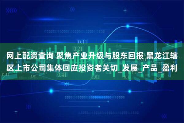 网上配资查询 聚焦产业升级与股东回报 黑龙江辖区上市公司集体回应投资者关切_发展_产品_盈利